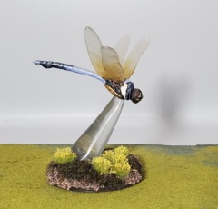 Giant Dragonfly